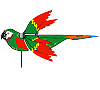 Flying Macaw