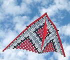 11ft Mesh Delta