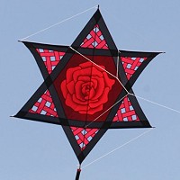 Red Rose Mesh Star