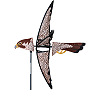 Peregrin Falcon