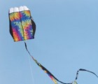 Parafoil 5.0