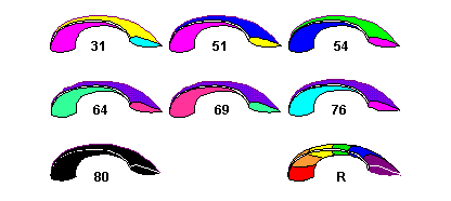 ProTeam 8 Colors