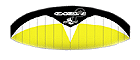 Yellow/White