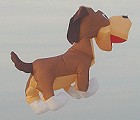 Bongo The Dog