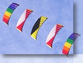 SpeedFoil RM6