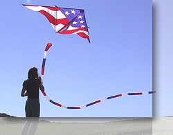 Stars and Stripes Delta