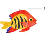 Swimming Flame Fish