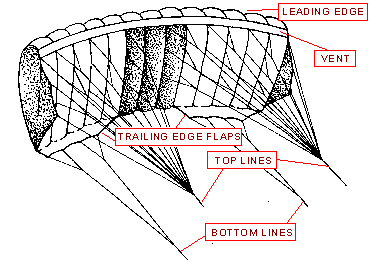 Skytiger line drawing