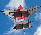 Trecoks Cody Box Kite