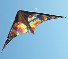 Vision Arrow Tie Dye