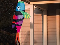 Fish Windsock